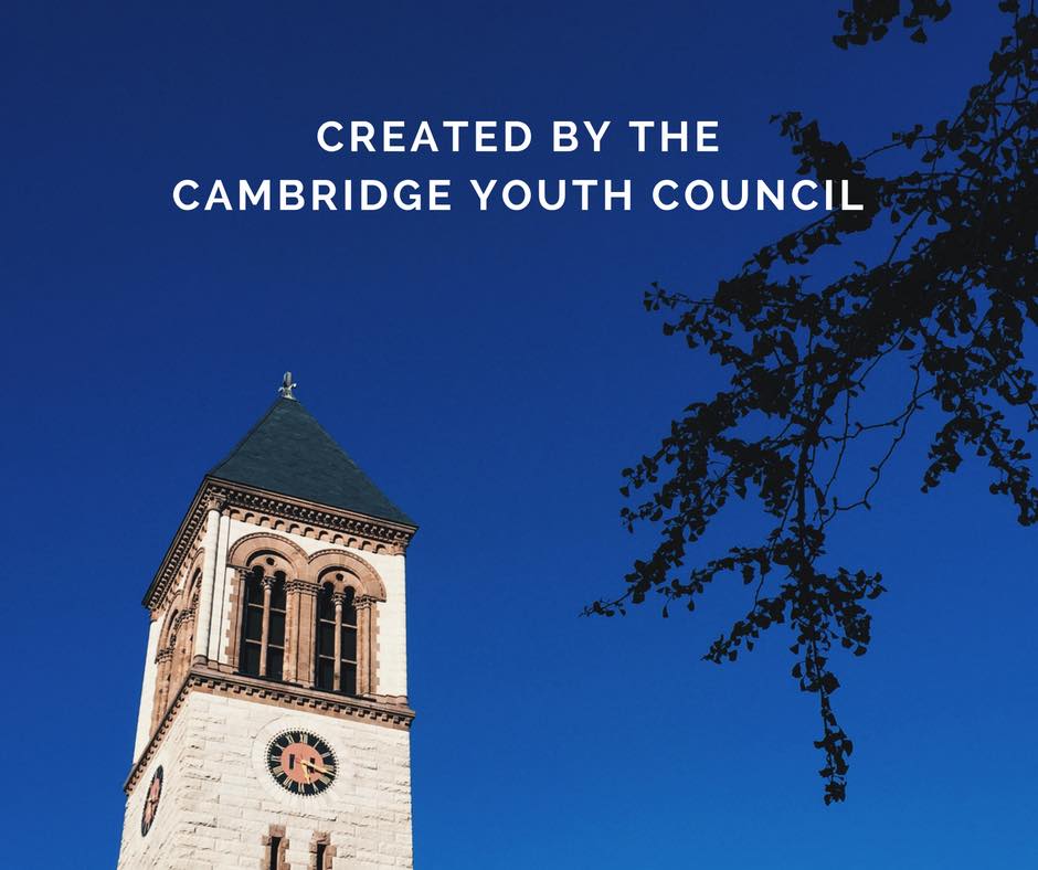 Mayor's Summer Youth Employment Program (Cambridge) - Meet the 2011 ...