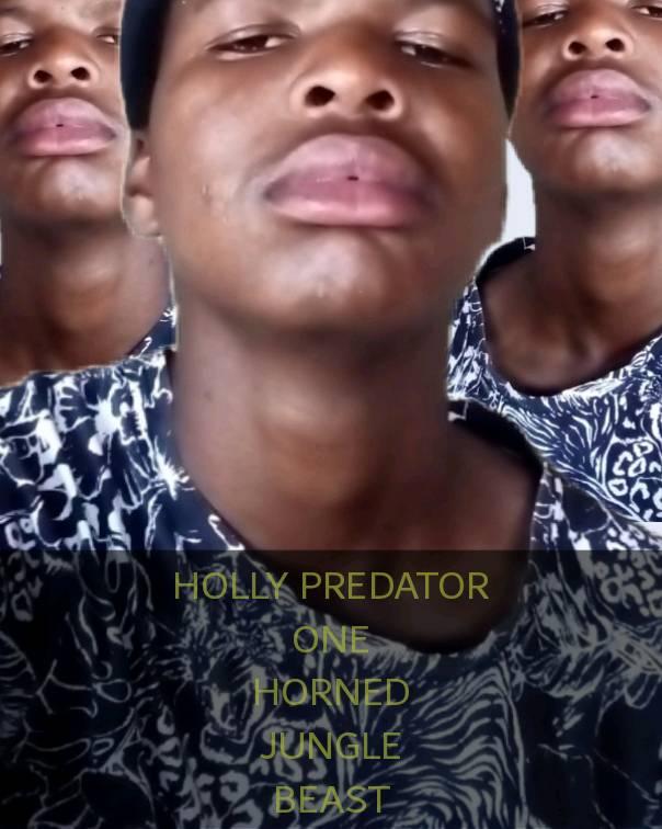 Real Holly Predator