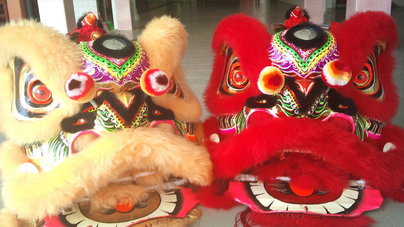 Raub - 红尾白须公 Baung Merah 特征：外观与白须公相似，但身型较为修长，且尾巴为红色。 体积：可达三、四公斤 特性：栖息于 ...