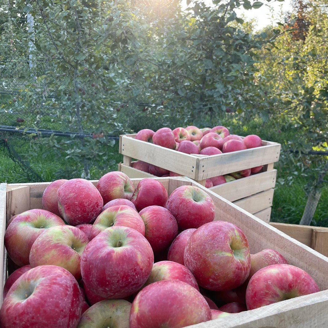 Hidden River Farms, Saugatuck MI | Saugatuck MI