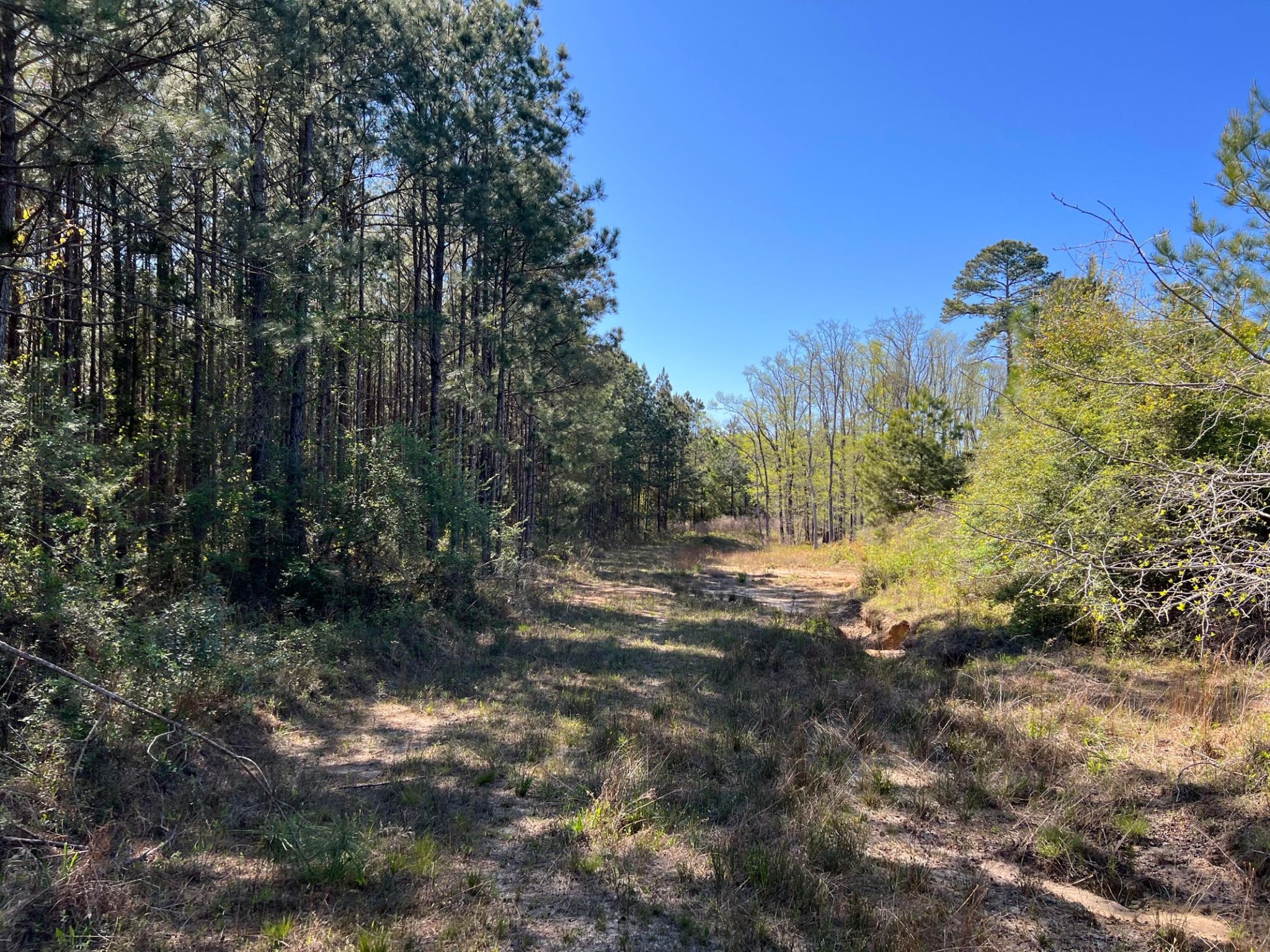 231 Acres North Walton County FL Property For Sale Fort Walton