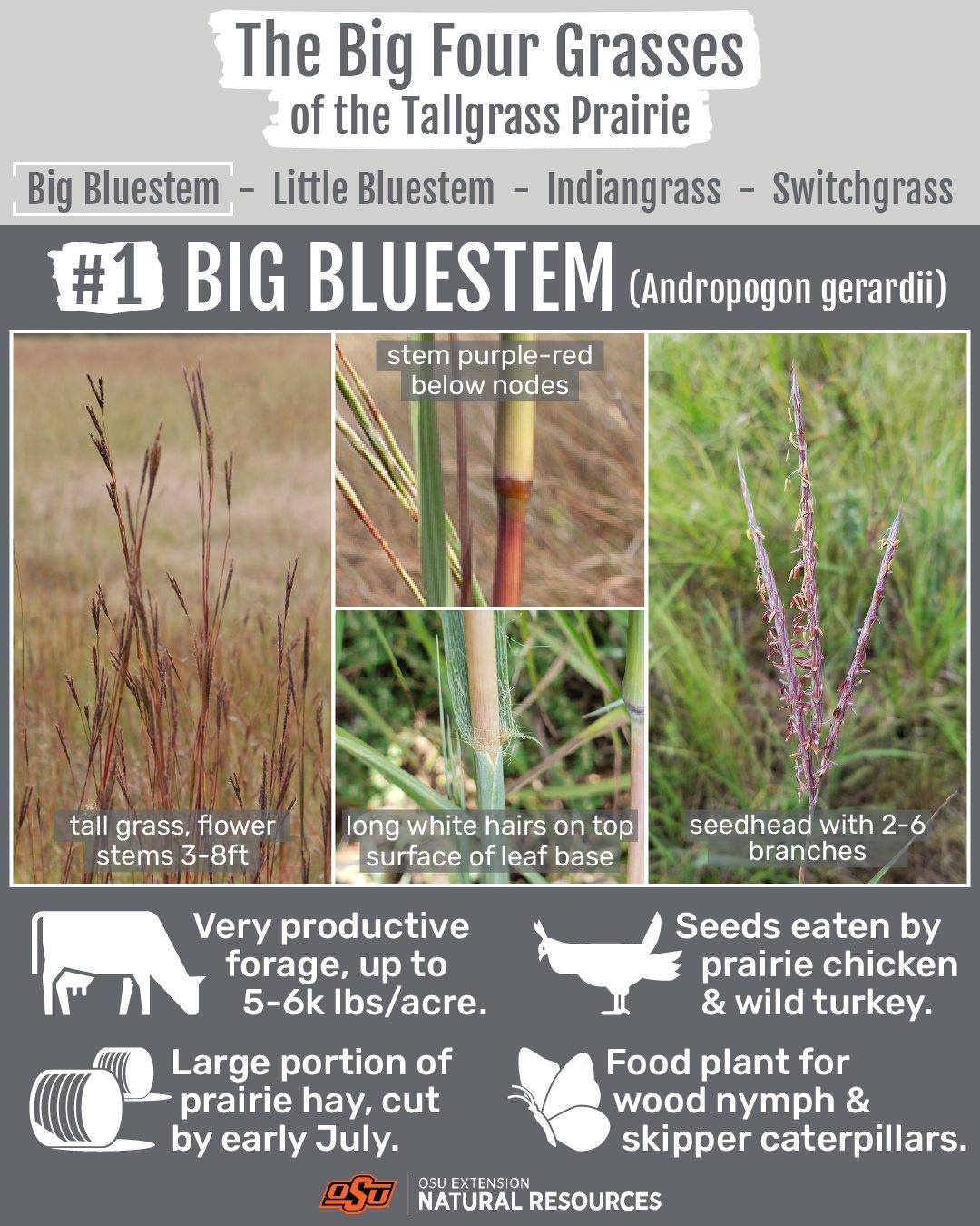 Eco Teaching Resources