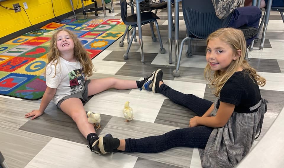 Our 2nd graders have been... - Manning Elementary School
