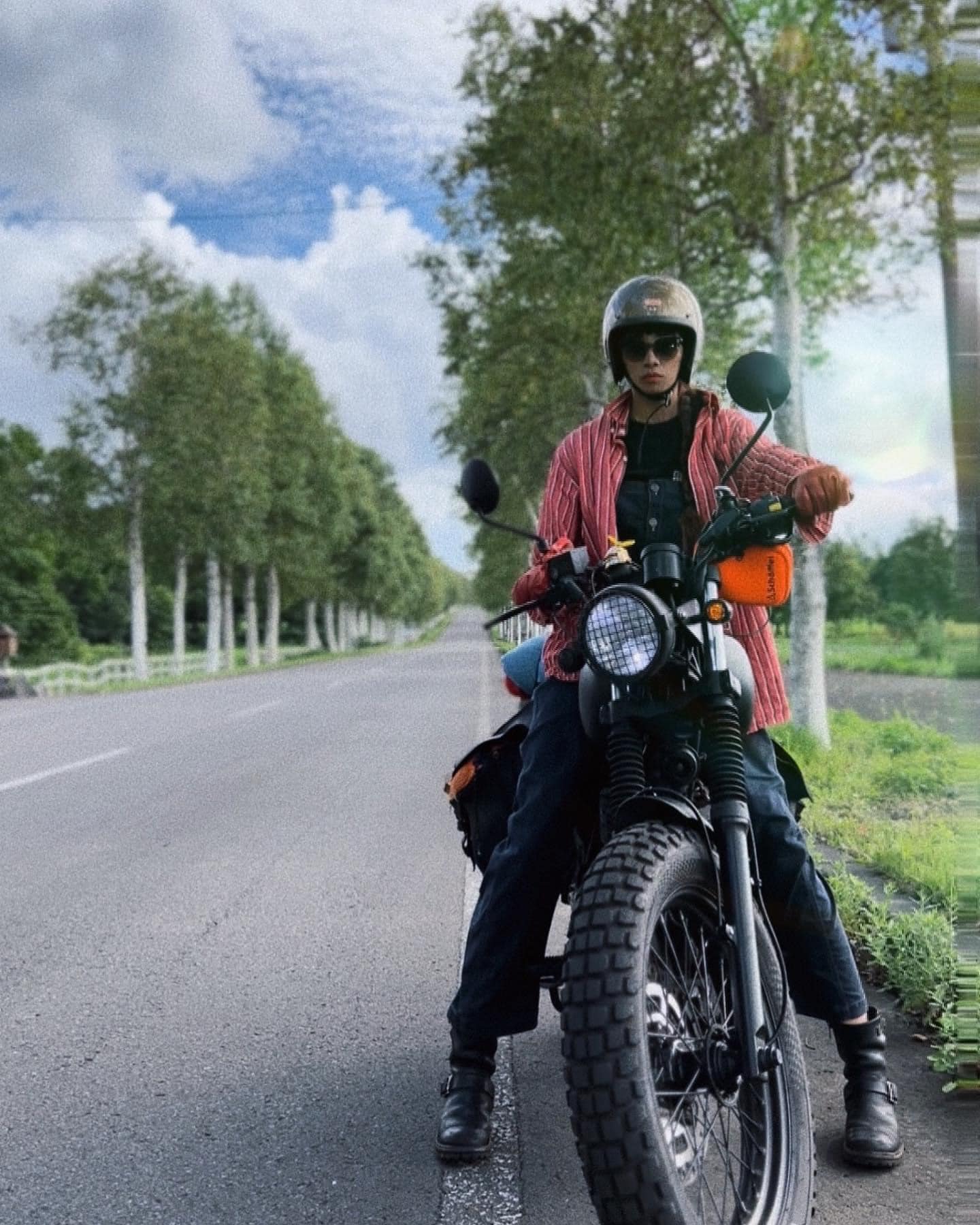 マットモーターサイクルズ - spring is there Mutt motorcycles 