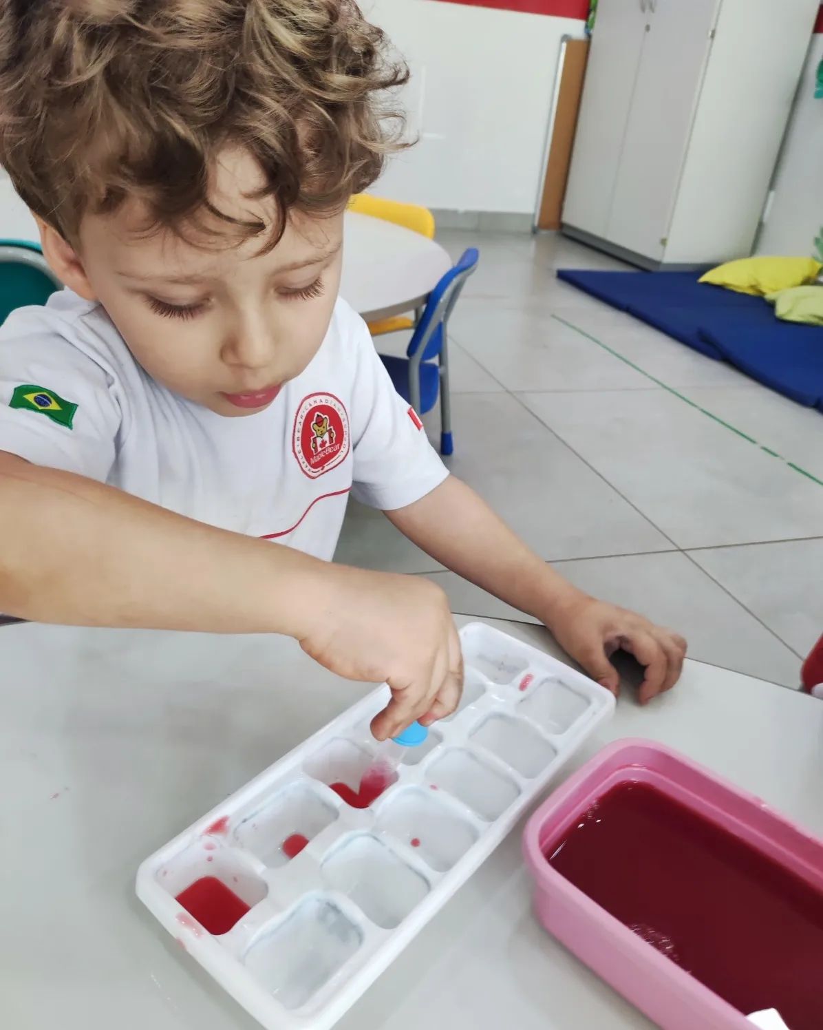 Maple Bear Uberaba | Uberaba MG