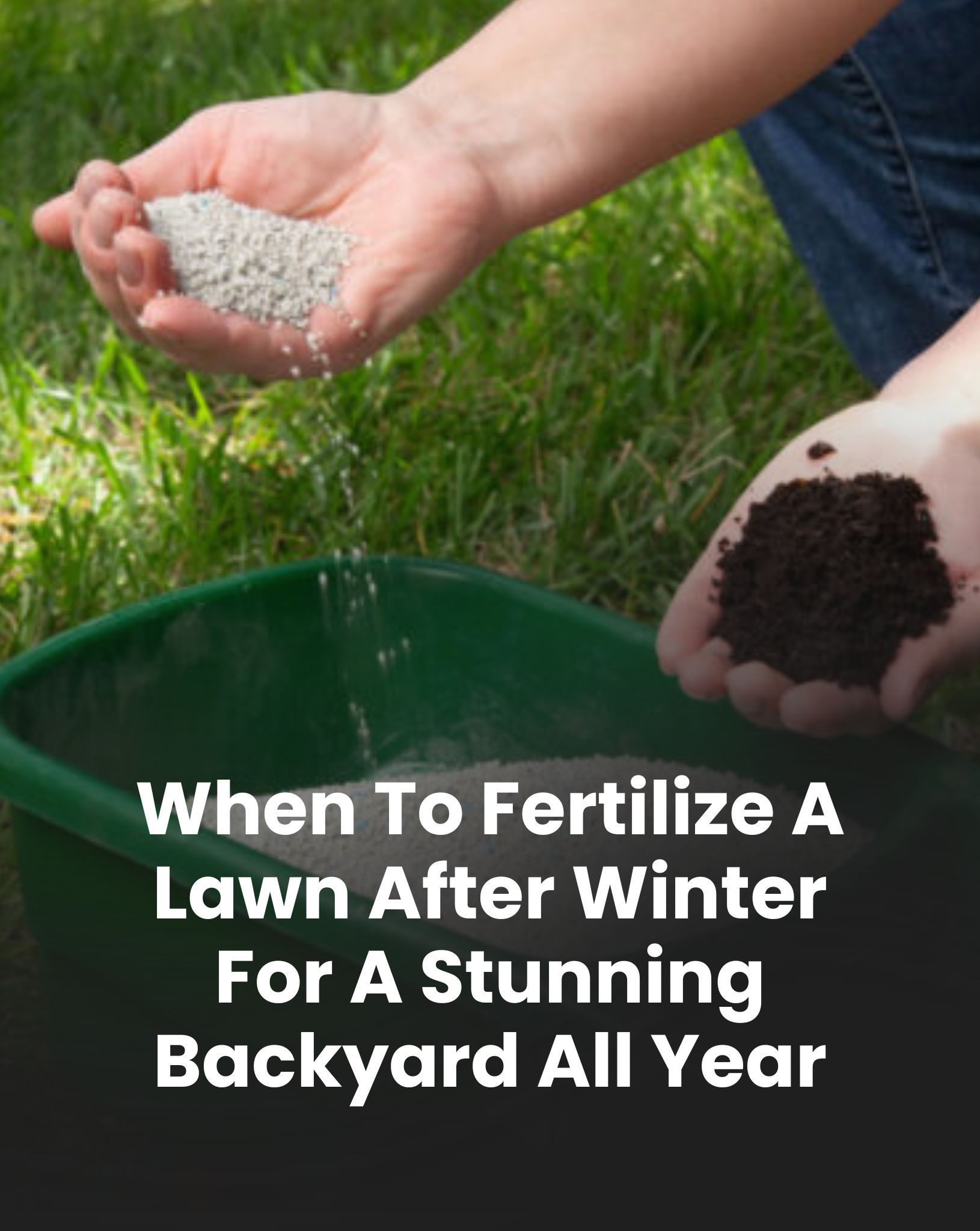 Bloom - Fertilizing too early can ruin your lawn — timing makes all the ...