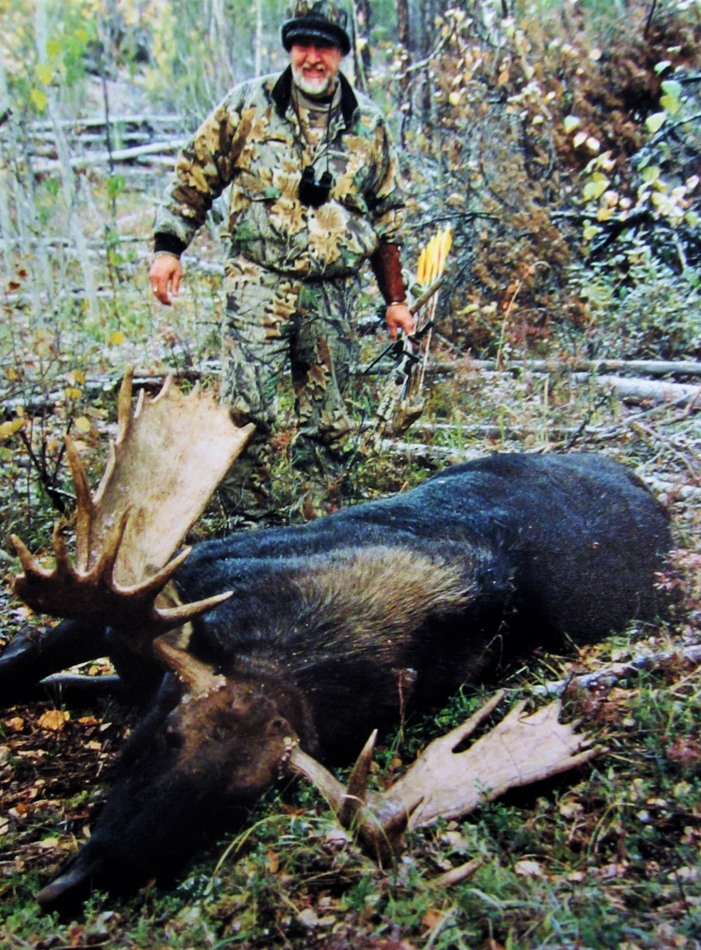 M. R. James - SOMEONE ASKED IF I'D EVER TAGGED A MOOSE --... | Facebook