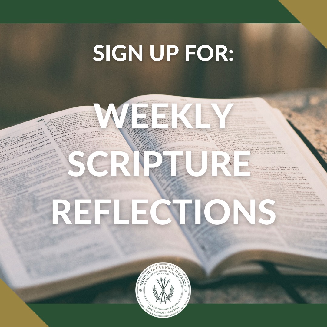Institute - Weekly Scripture Reflection for June 22, 2025 - https ...