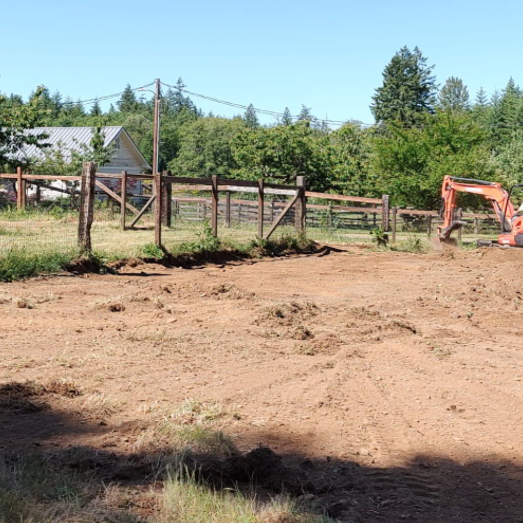 New... - Graham Training Center - Pleasure Performance Horses