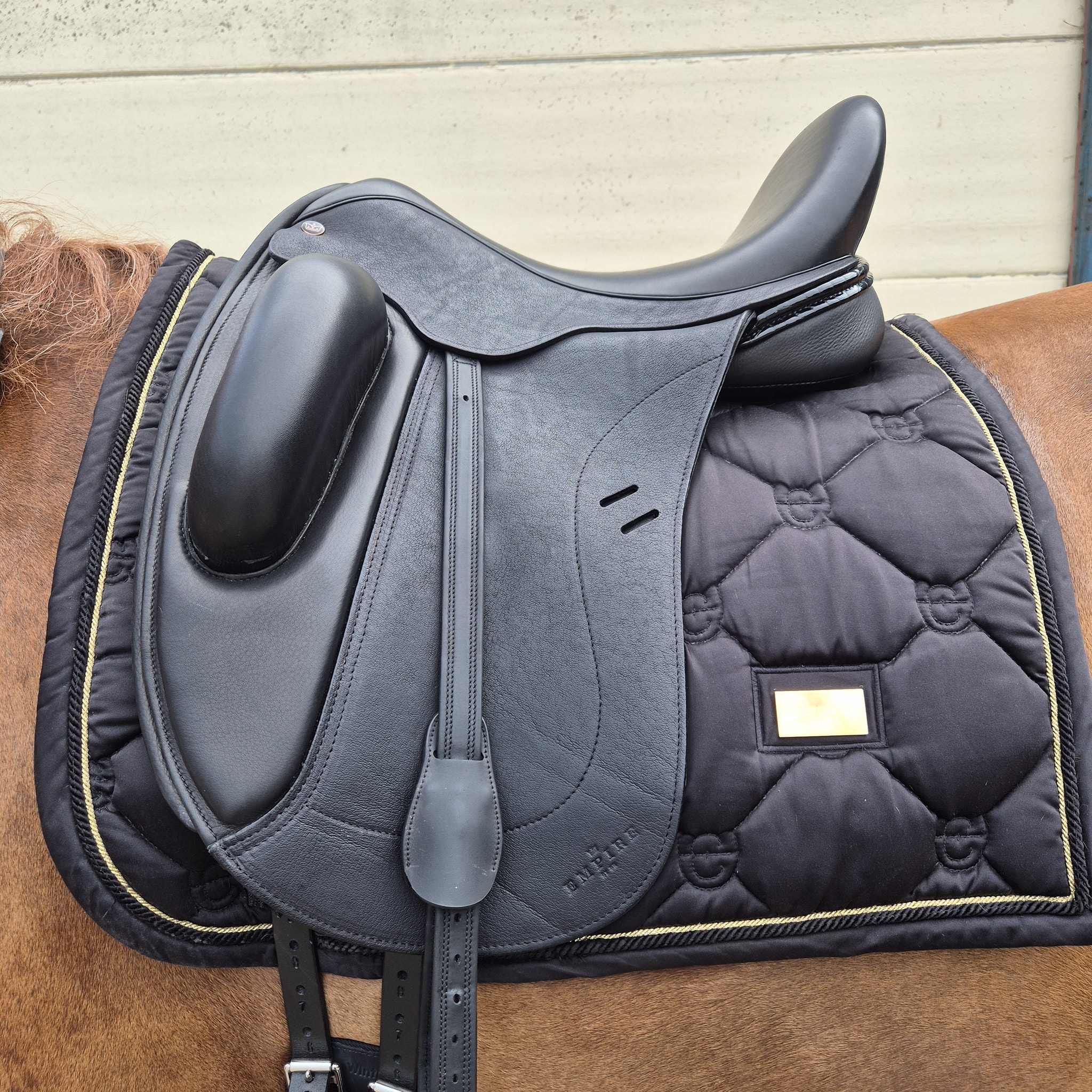 💎 EMPIRE BAROQUE 💎 Wat een... - Equisense Zadelservice | Facebook