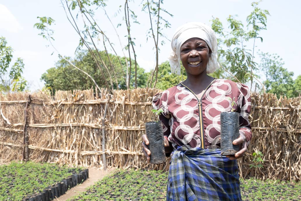 MBC Digital - #Update One Acre Fund Malawi has affirmed... | Facebook