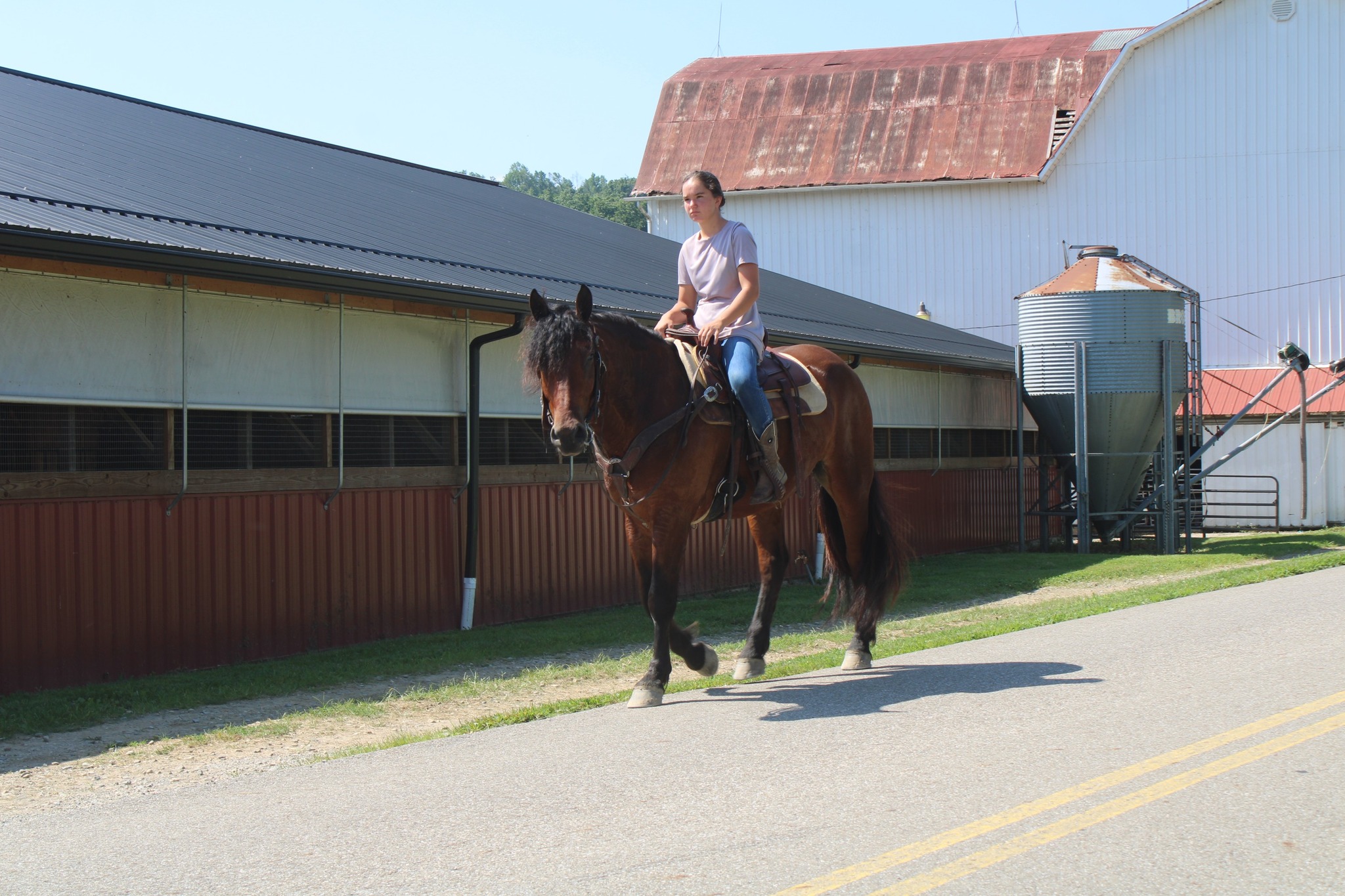 Photo inspiration: Picture Idea: Discover Ohio Horses Added A New Photo