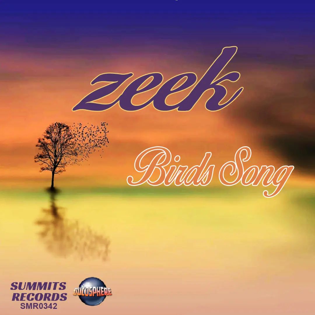 Zeek - La pochette de mon prochain single La sortie zst... | Facebook