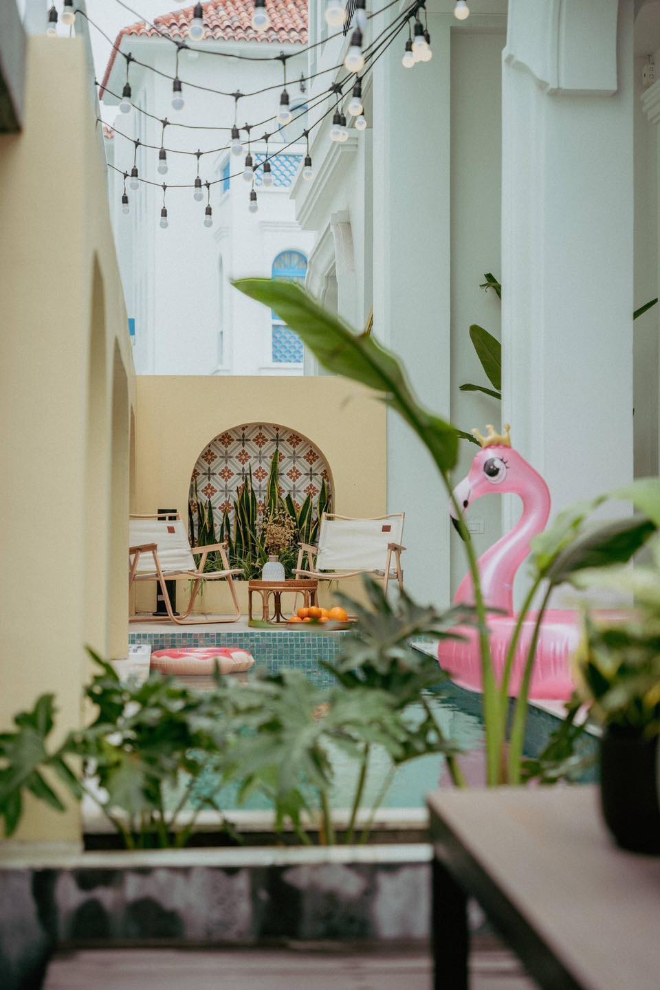 Sapota Homestay Hạ Long | Ha Long