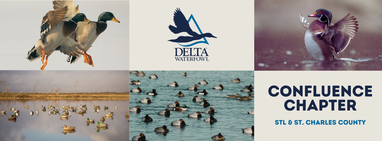 Delta Waterfowl Confluence Chapter | St. Charles MO