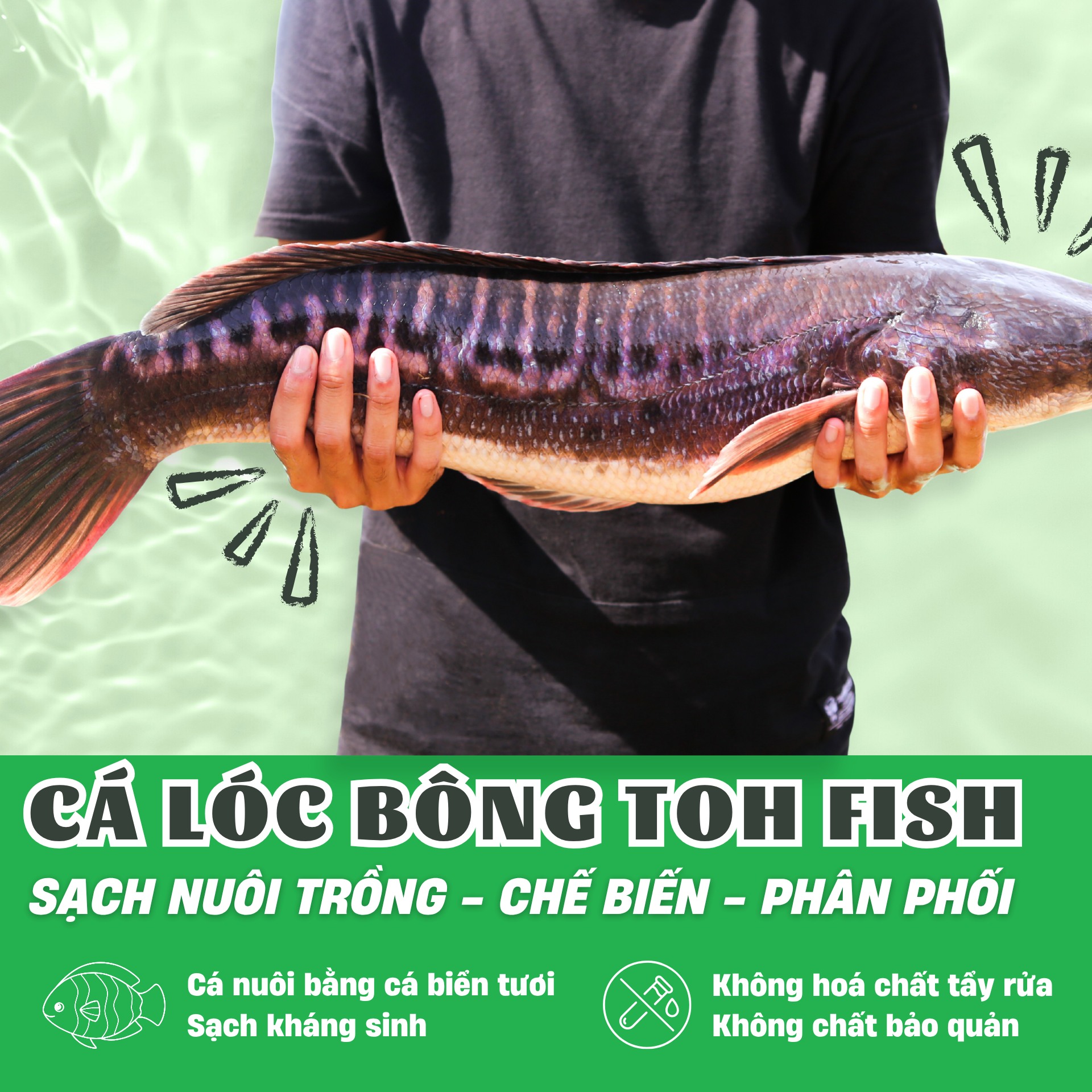 TOH Foods - 𝐂.Á 𝐋.Ó𝐂 𝐁.Ô𝐍𝐆 - Đ𝐄̣𝐏 𝐓Ừ𝐍𝐆 𝐋Á𝐓 𝐂Á, 𝐍𝐆𝐎𝐍 𝐓Ừ𝐍𝐆... | Facebook