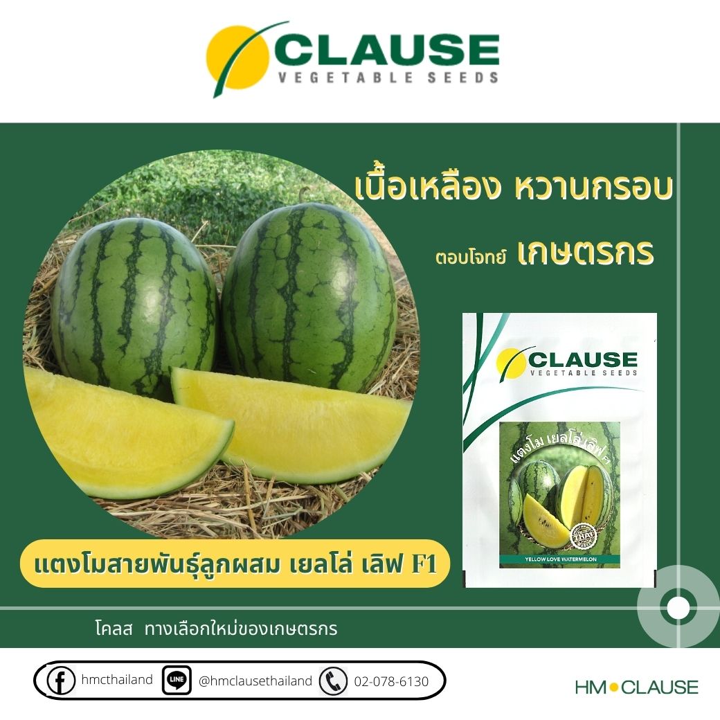 รู้หรือไม่ว่า... - HM.Clause - Thailand | Facebook
