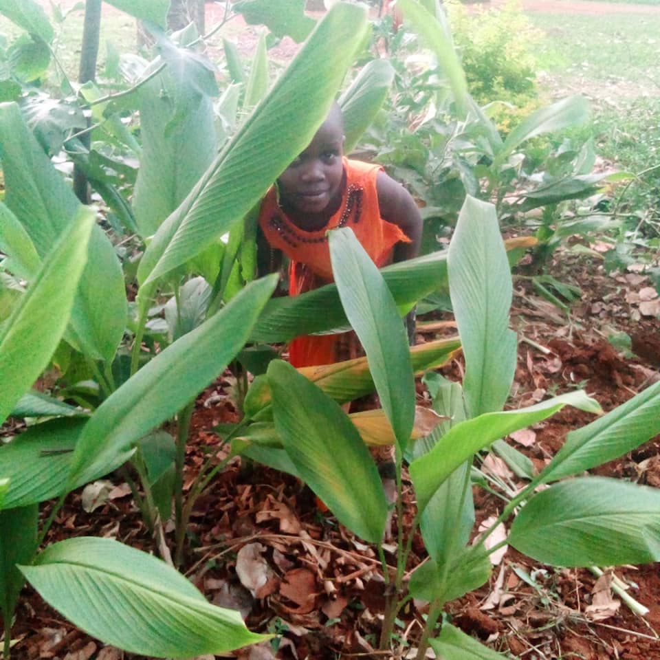 Maaka... - Maaka Orphans and Widows Associations Uganda