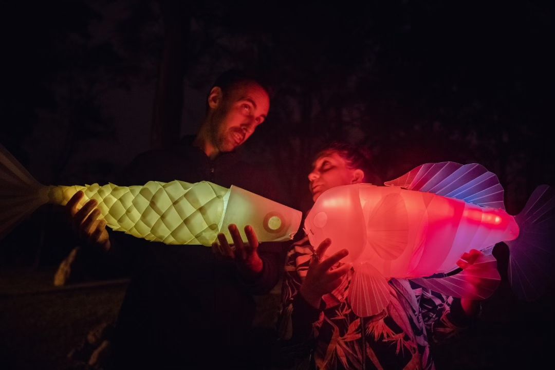 Ledpuppets