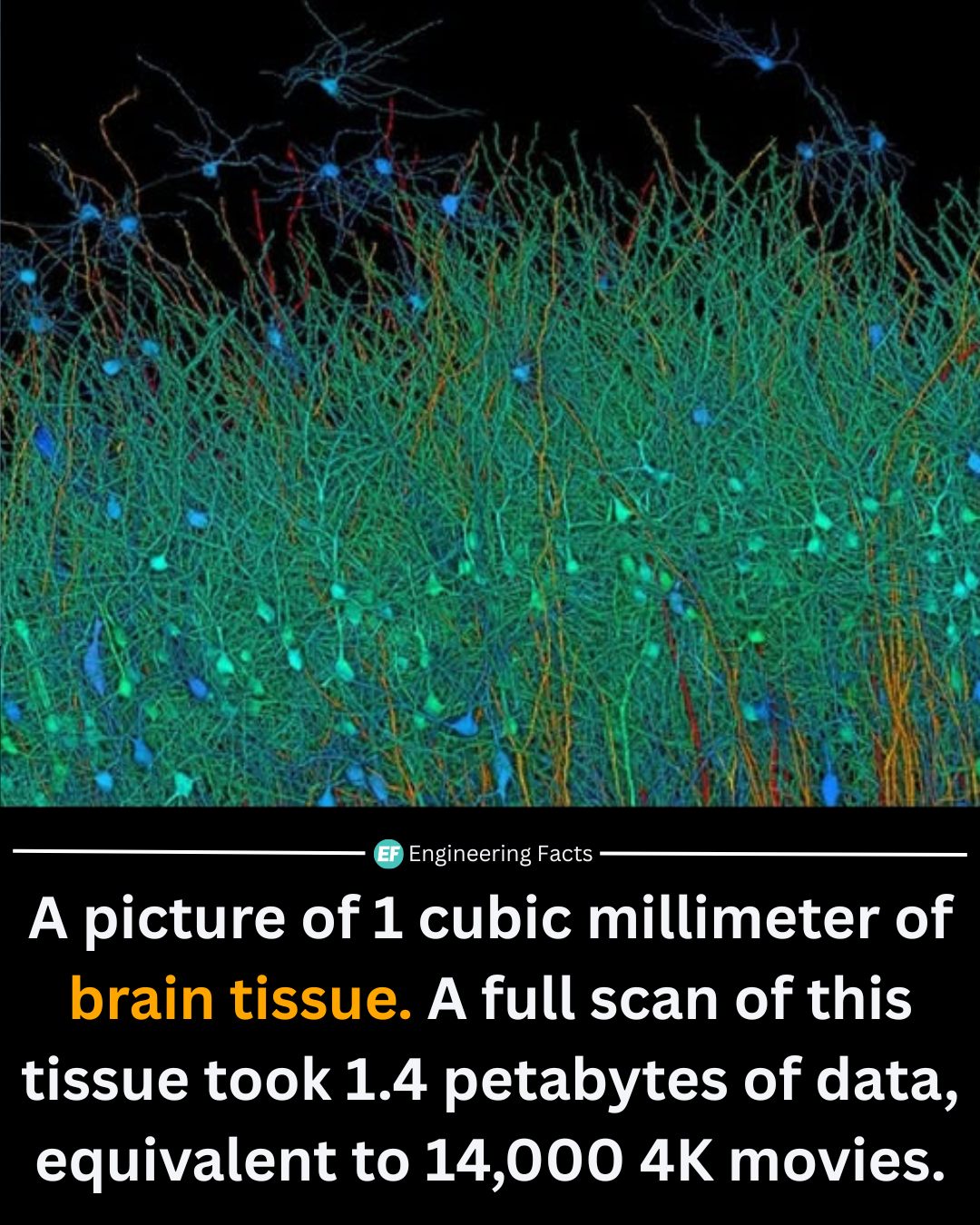 Engineering - What you’re looking at is the most detailed map of brain ...