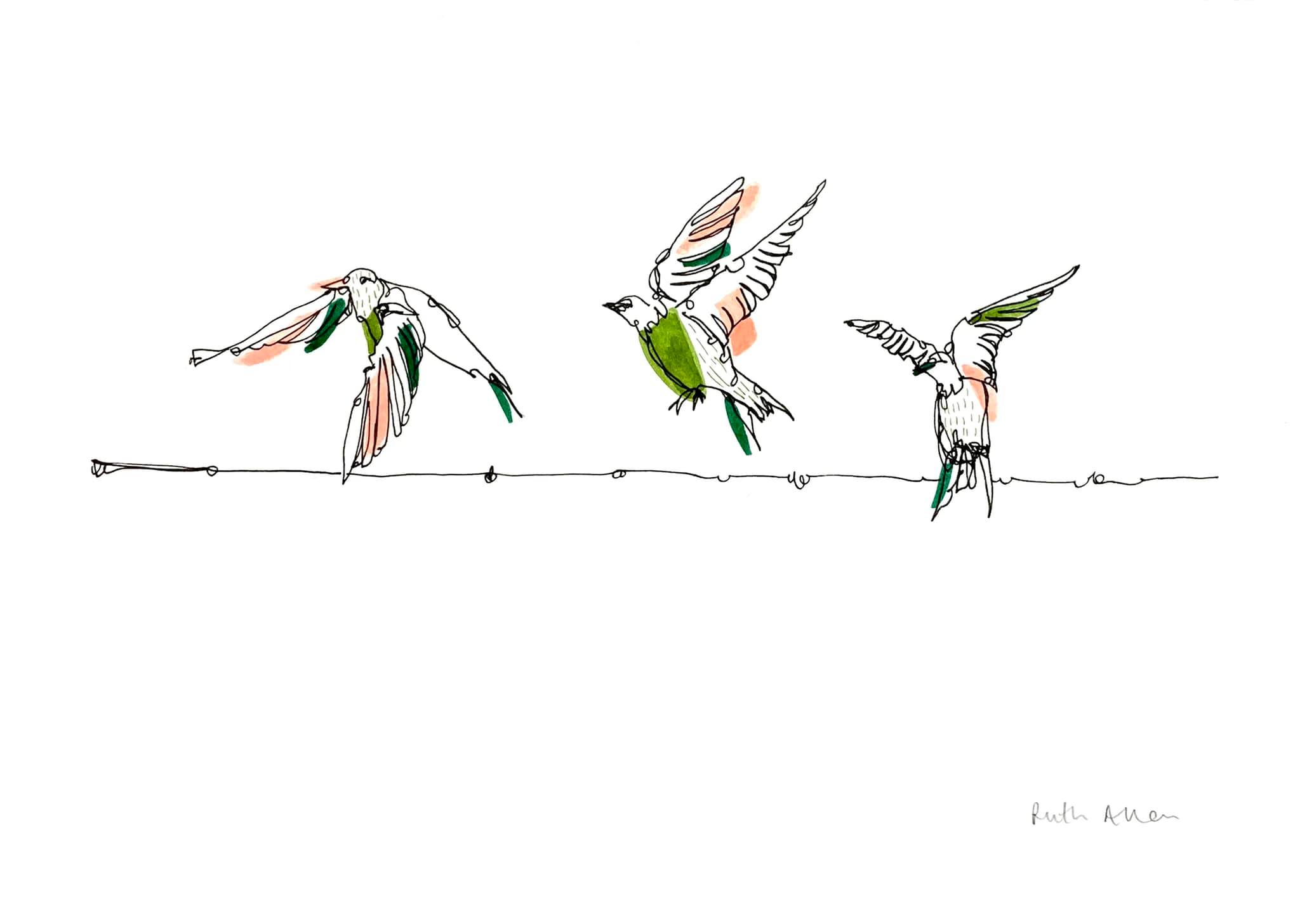 Ruth Allen - This beautiful original line drawing A4 and... | Facebook