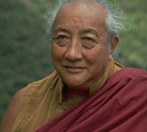 Fundação - RANGJUNG PEMA NYINGTIG DRUBCHÖ with Shechen Rabjam Rinpoche ...