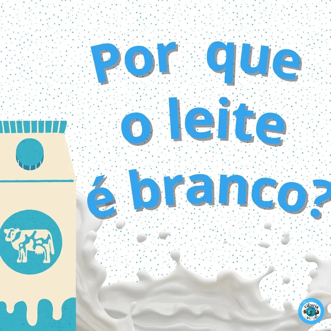 Ciência, Cultura e Comida Fsp-Usp