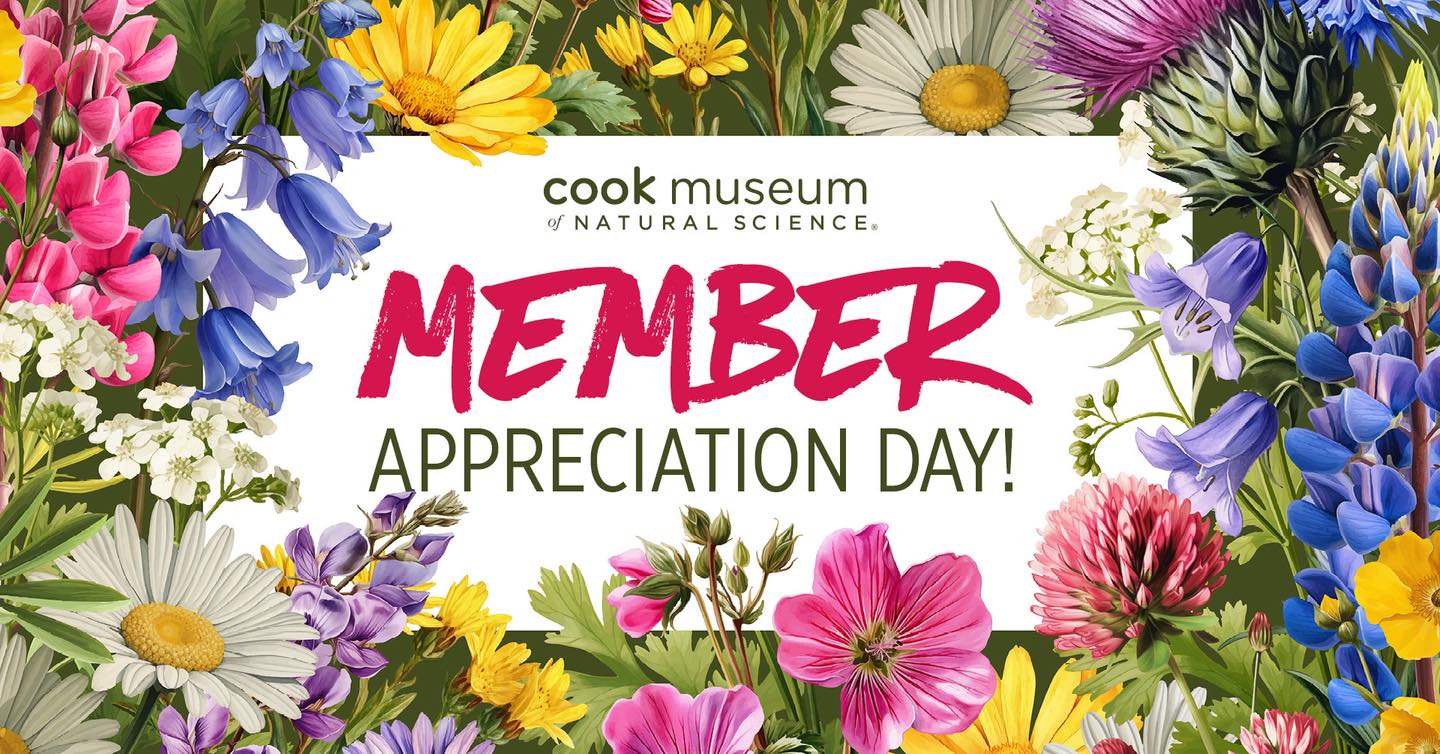 Cook Museum of Natural Science | Decatur AL
