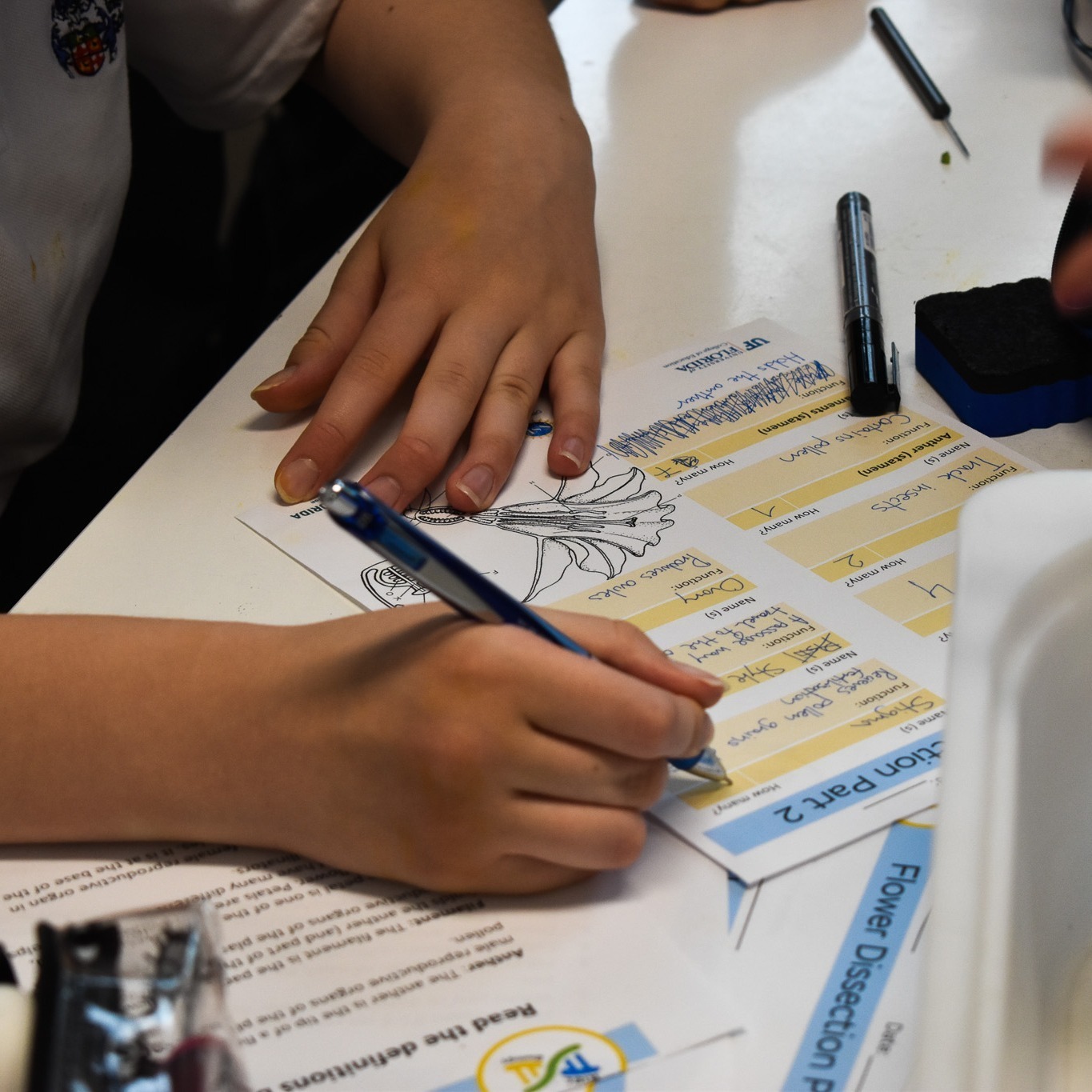 This week Year... - British International School of Ljubljana | Facebook