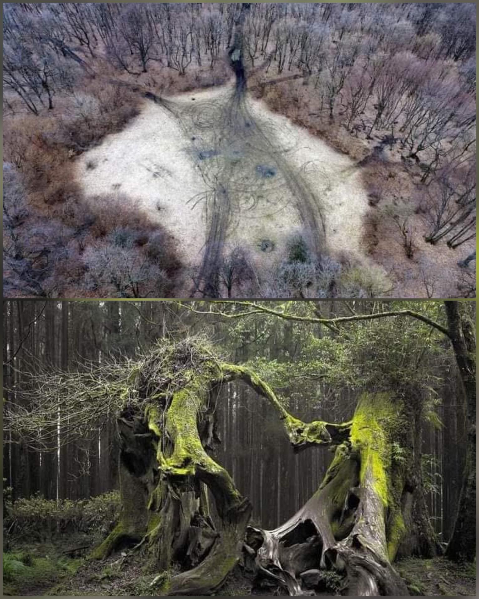 History’s - Situated in the misty hills of Transylvania, Romania, the ...