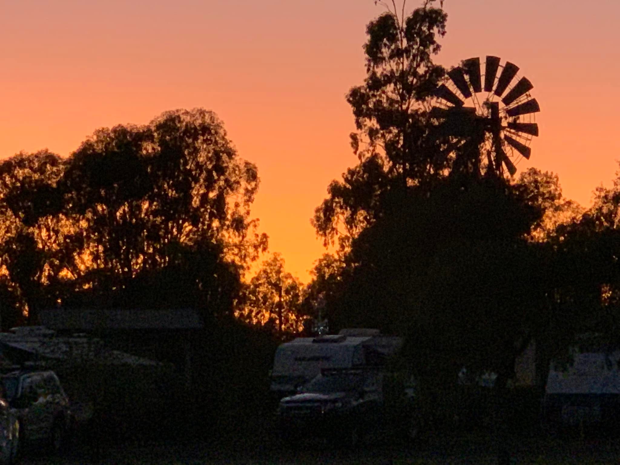 Dalby Rural Supplies added a new photo. - Dalby Rural Supplies