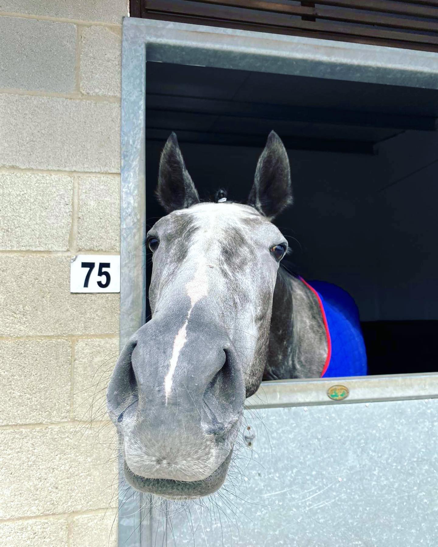 We have one runner... - Alastair Ralph Racing