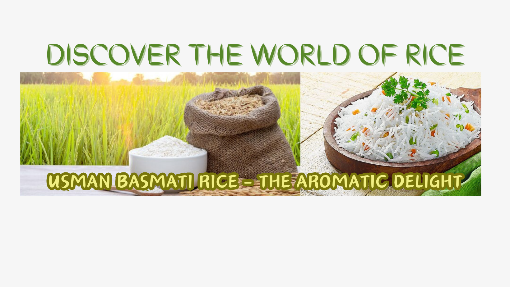 Usman Rice Mills