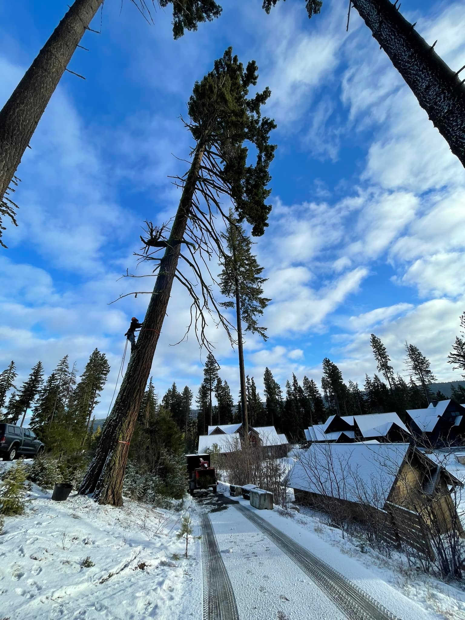 The TimberTech | Thorp WA