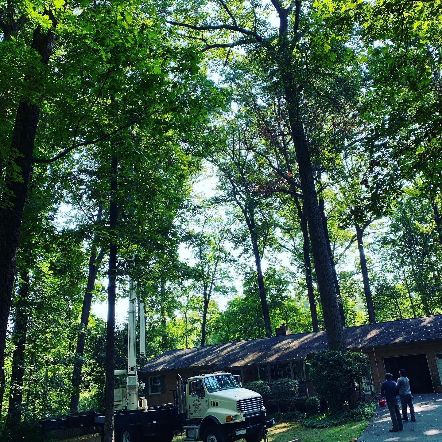 RGS Services LLC, landscaping, hardscaping, and Tree Service - Home ...