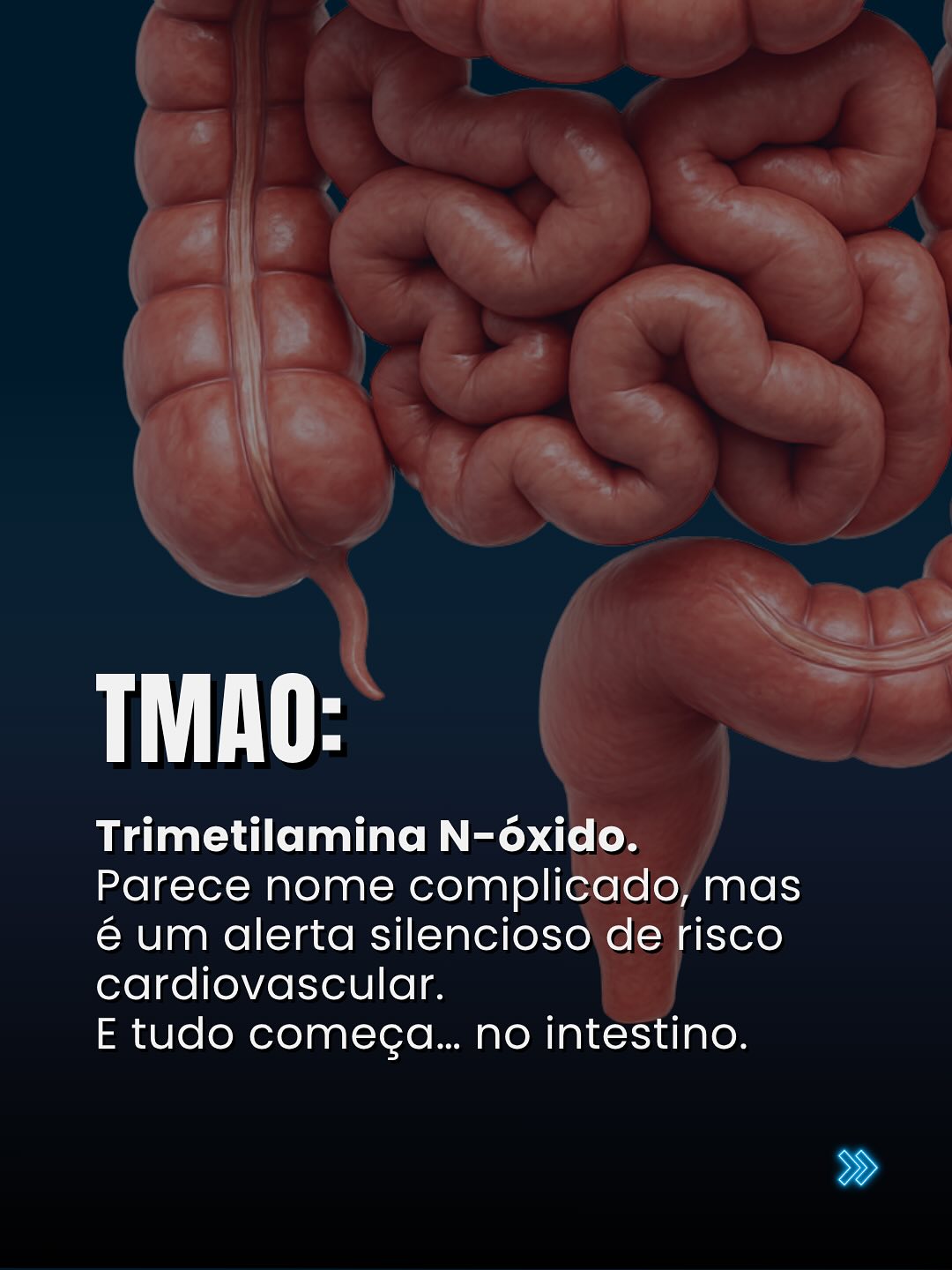 🧠 TMAO: O INTESTINO ESTÁ JOGANDO CONTRA SEU SISTEMA CARDIOVASCULAR? ⠀ TMAO (Trimetilamina N-óxido) é mais do que um nome complicado. É um biomarcador funcional que conecta dieta, microbiota intestinal e risco