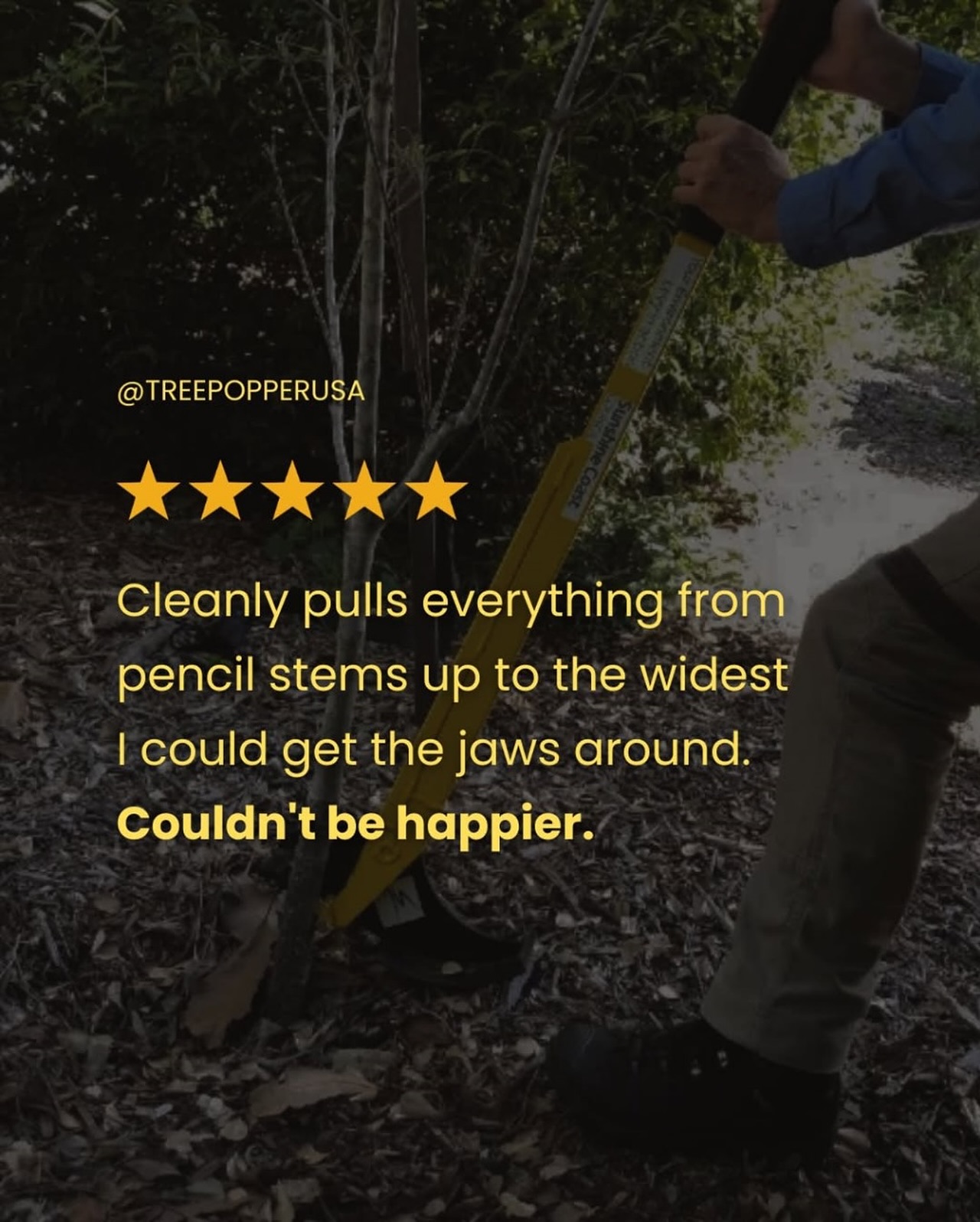 Tree Popper USA