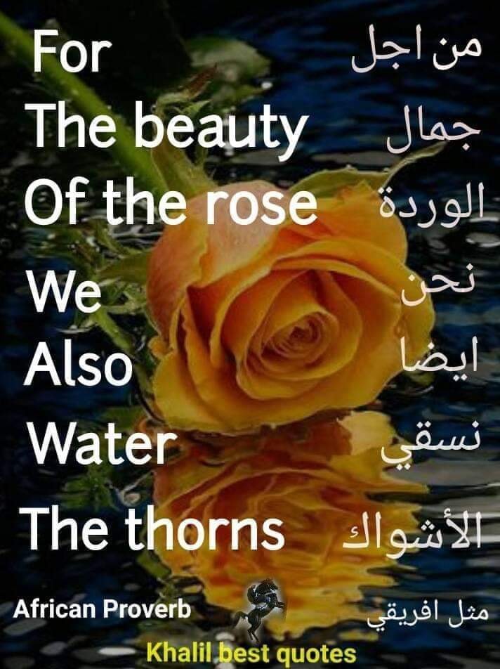 هنـالك عشر طرق لقول كلمة 