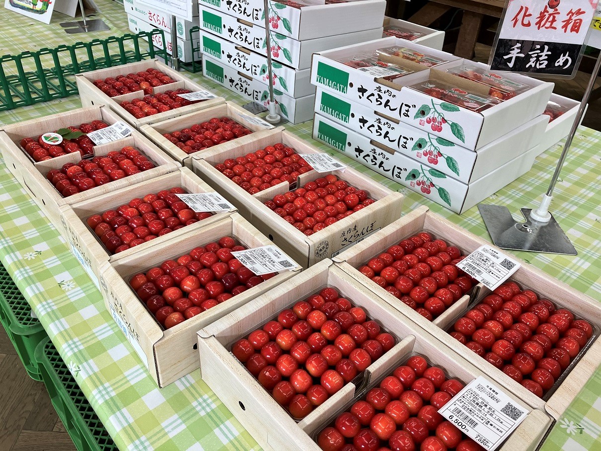 チャンスです！ いっぱい出ています🍒 今年はやはり早めです😊