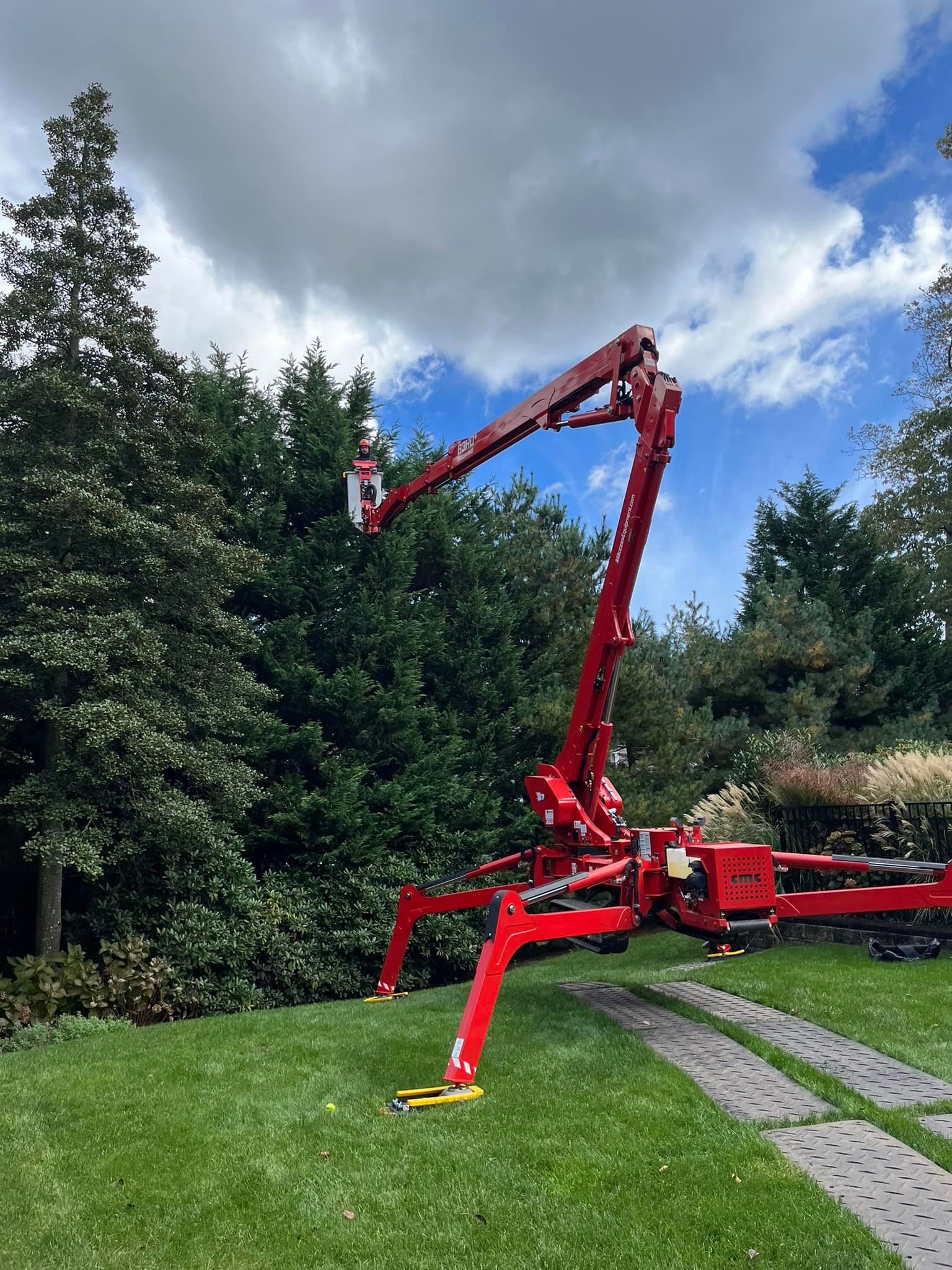 PSD Tree Experts | Point Pleasant NJ