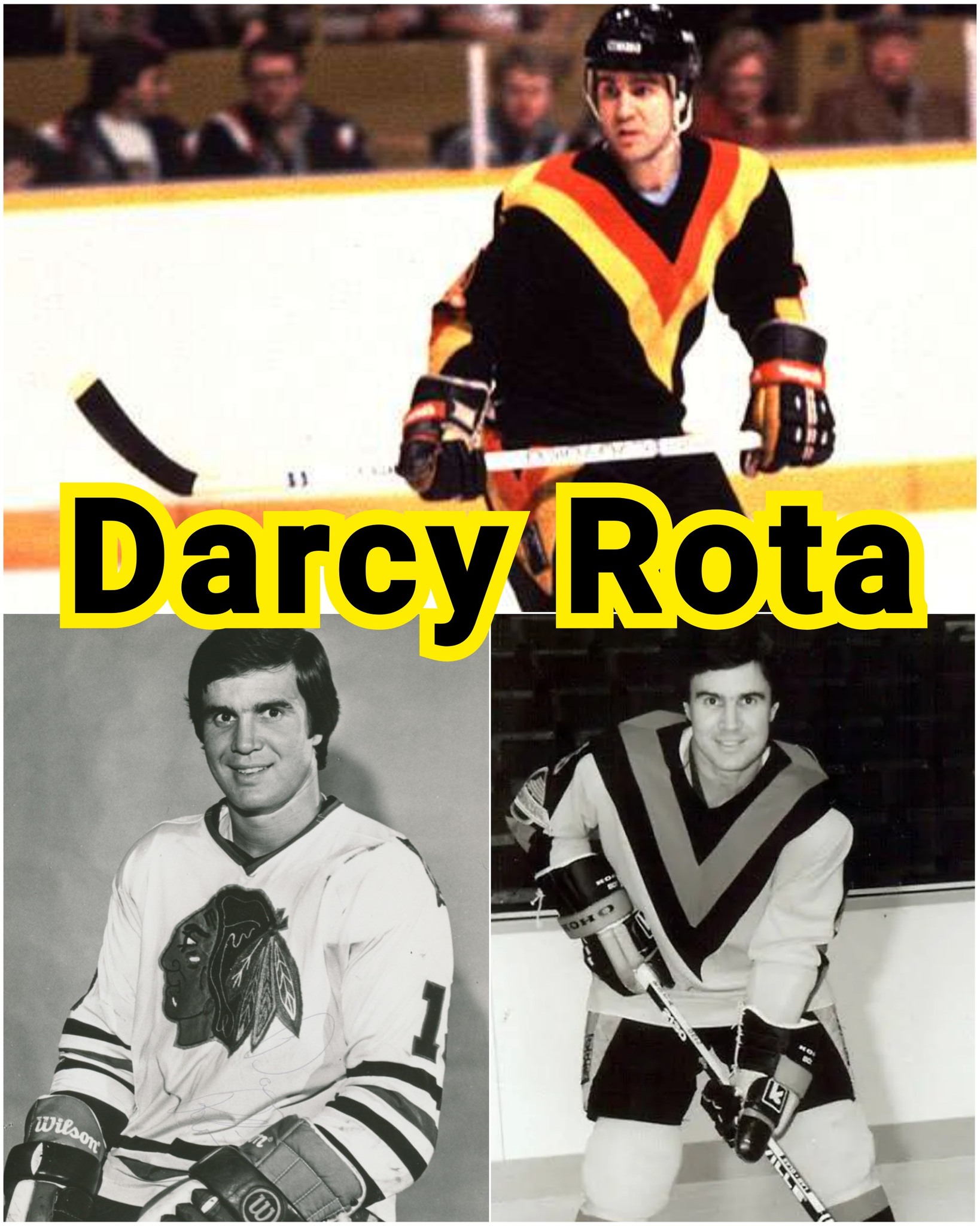 American - 🏒 Ice Hockey Journey of Darcy Rota 🌟 Darcy Irwin Rota (born ...
