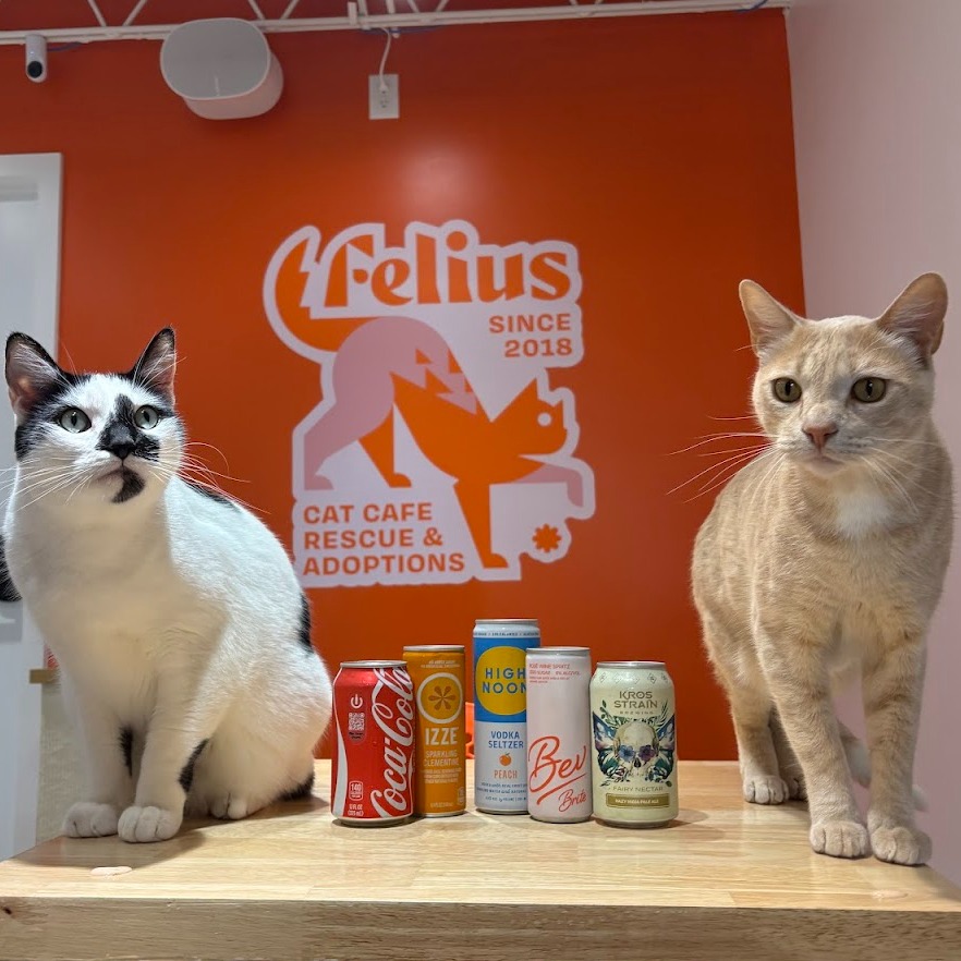 Felius Cat Cafe & Rescue | Omaha NE