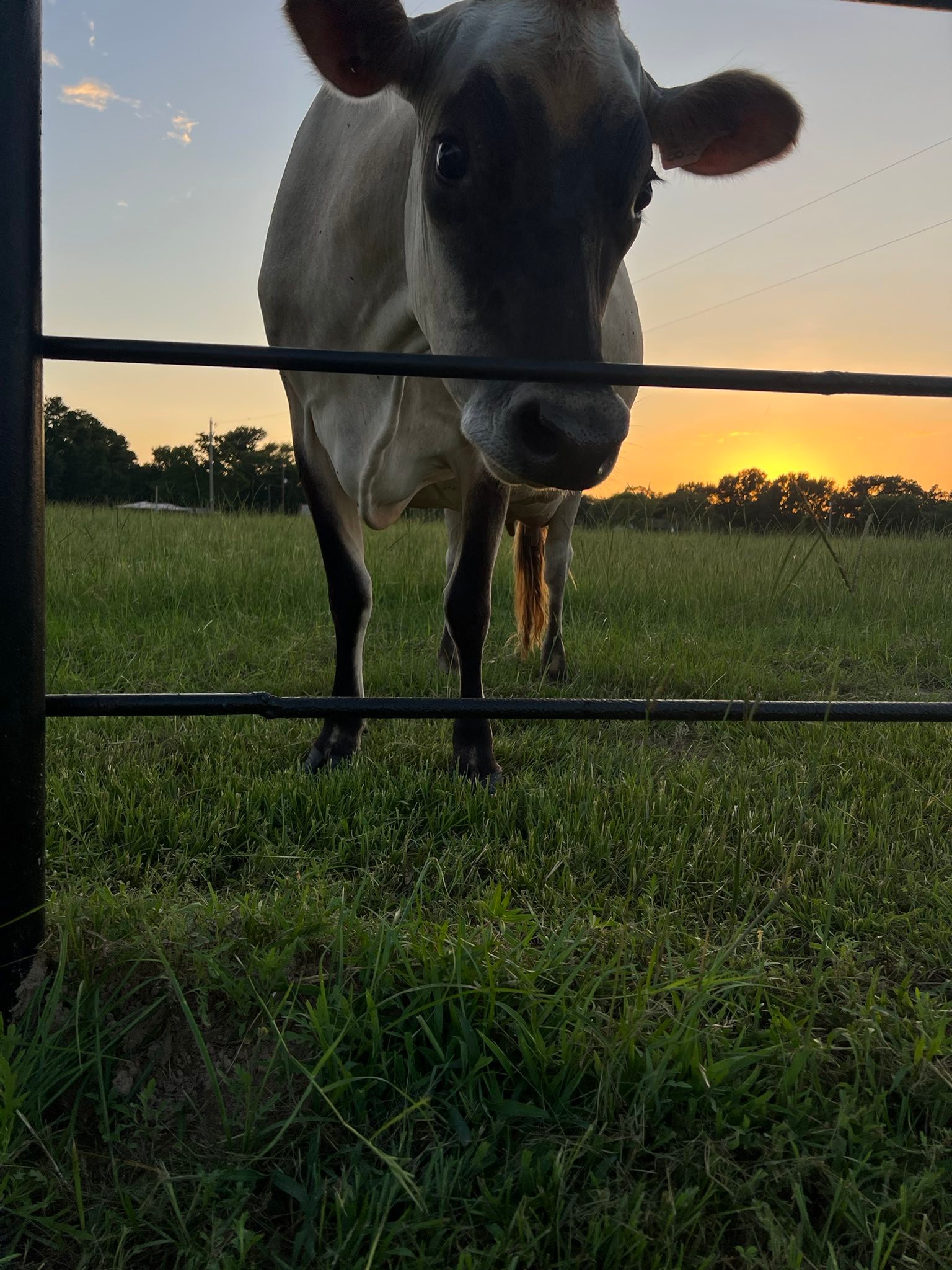 Smiley Ranch