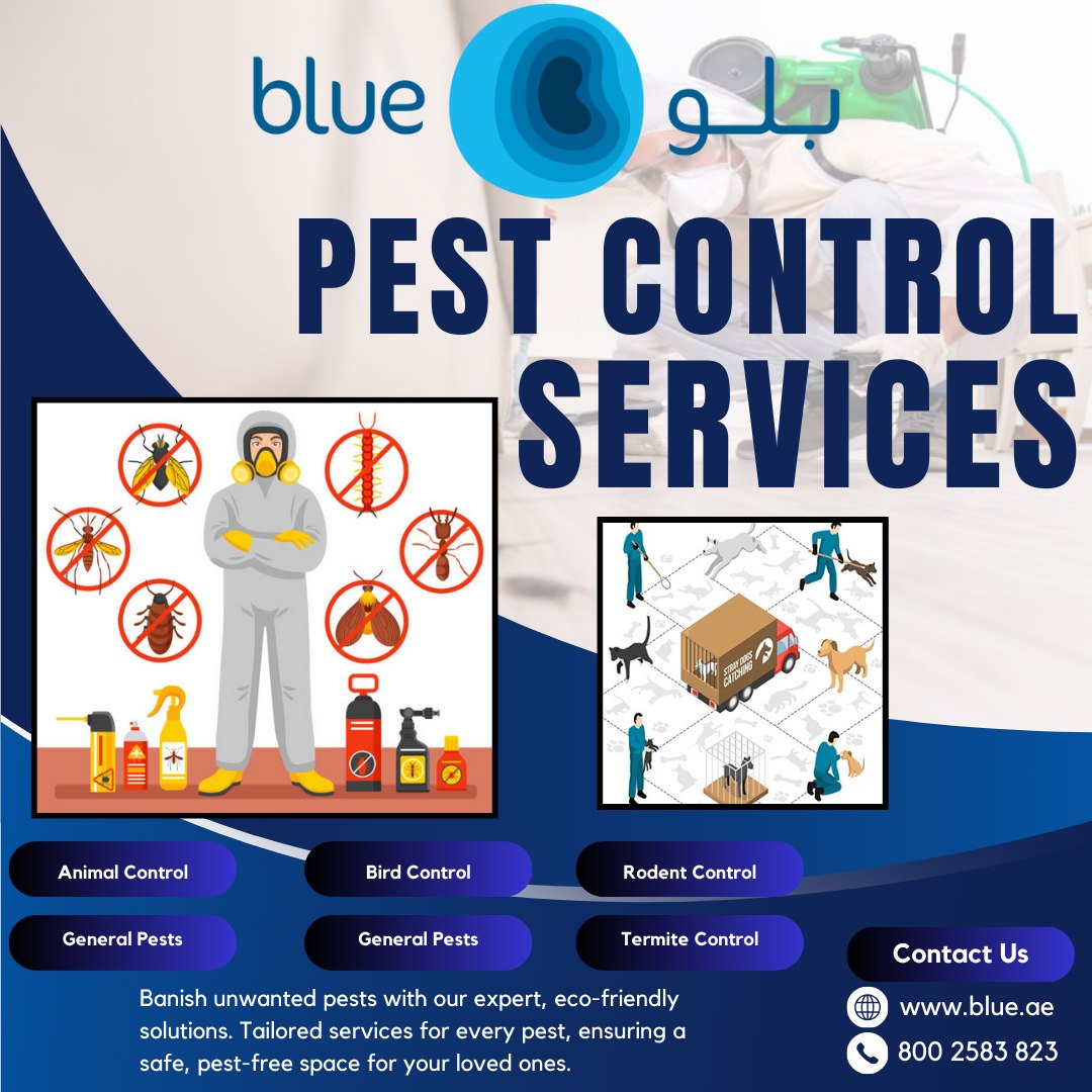 Great Description About Joe Blue Pest Controlfeed