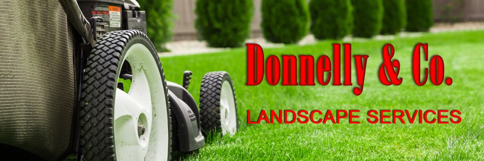 Donnelly & Co. | Chapin SC