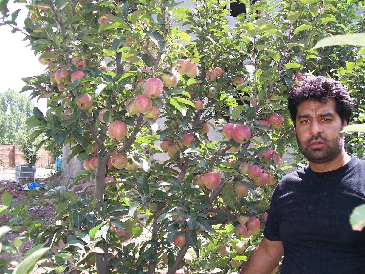 Ahsaan Hoticulture Nursery | Srinagar