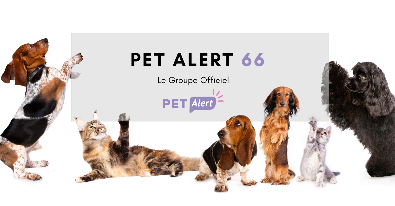 Pet Alert 66 (Groupe Officiel)