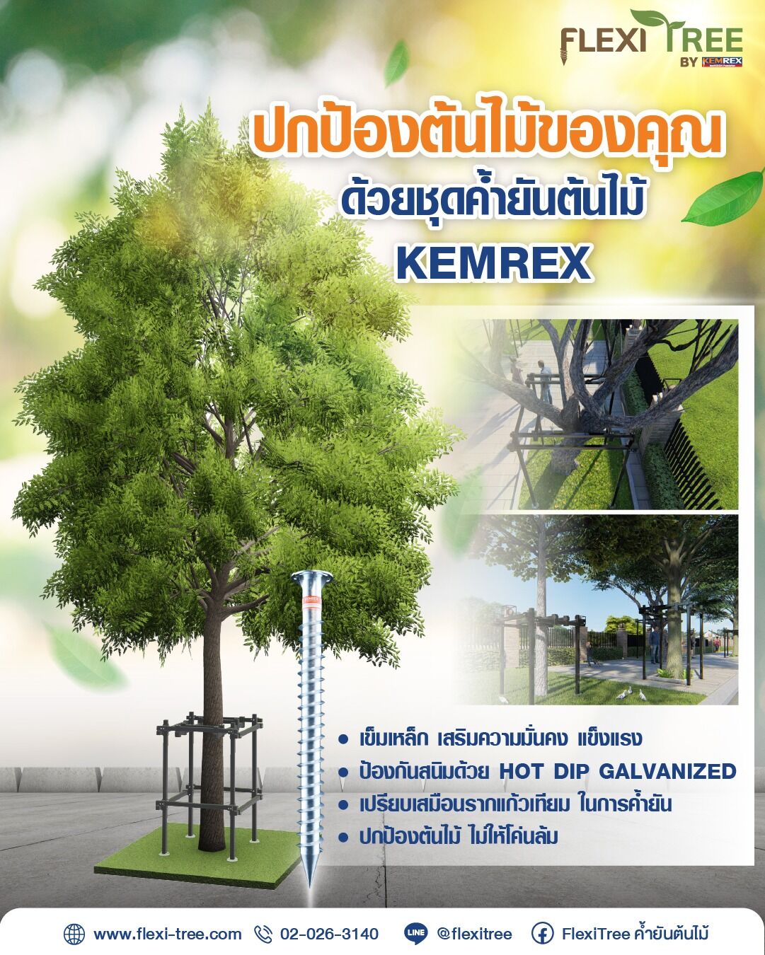 FlexiTree - 🛑 รู้ไหม? แค่ลมแรงครั้งเดียว…ต้นไม้ใหญ่ก็โค่นได้! โดยเฉพาะ ...