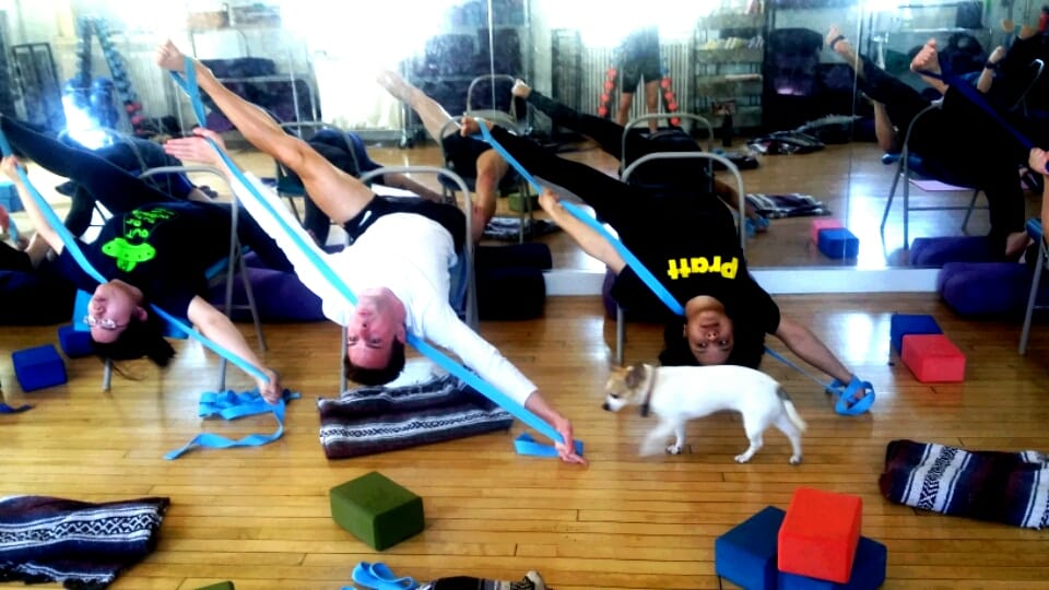 Robin Simmonds Yoga