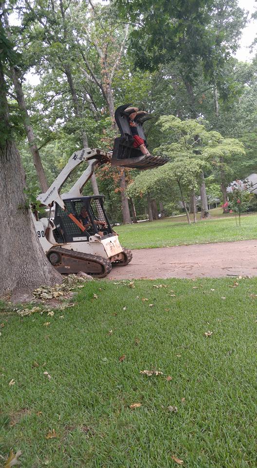 Cooks Tree Service | Cowpens SC